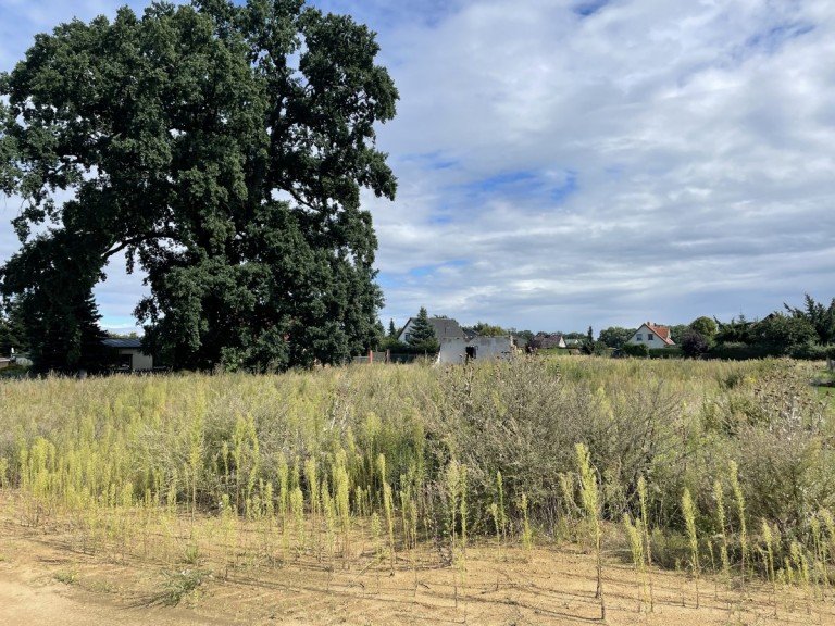 Ansicht Grundst�ck Sydower Flie� Wohngrundst�ck Baugrundst�ck in idyllischer Lage - Provisionsfrei!