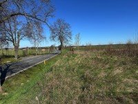 Bild (59992b30f02362e193ca9619524c0354): Zinsfrei ins Eigenheim: Ihr Familiengl�ck in Eiche - Provisionsfrei direkt vom Eigent�mer!