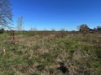 Bild (63e7d60b6e565db4a39a66cf2634f7dd): Bauen ohne Zinsstress: Exklusives Baugrundst�ck in Eiche f�r Ihr individuelles KLINKER HAUS