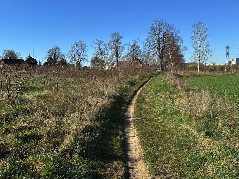 Ansicht Grundst�ck Wohngrundst�ck Ahrensfelde