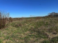 Hauptbild Zinsfrei ins Eigenheim: Ihr Familiengl�ck in Eiche - Provisionsfrei direkt vom Eigent�mer!